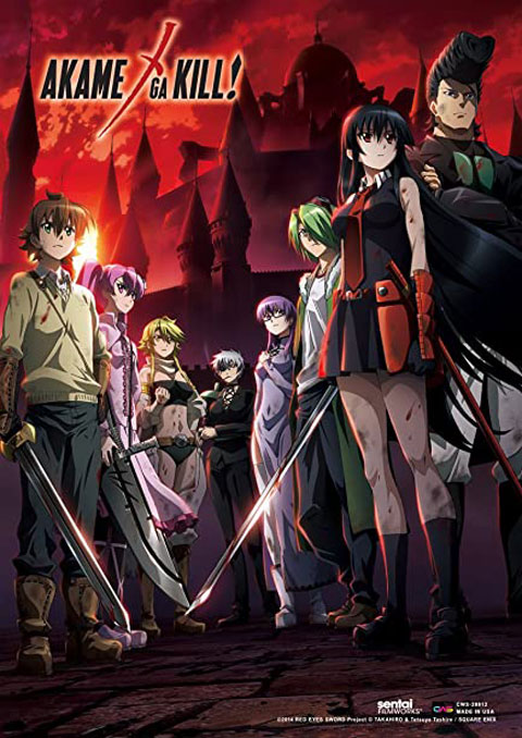 akame ga kill อาคาเมะ สวยประหาร