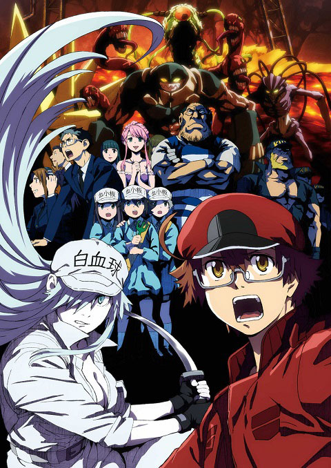Hataraku Saibou Black เซลล์ขยัน พันธุ์เดือด แบล็ค