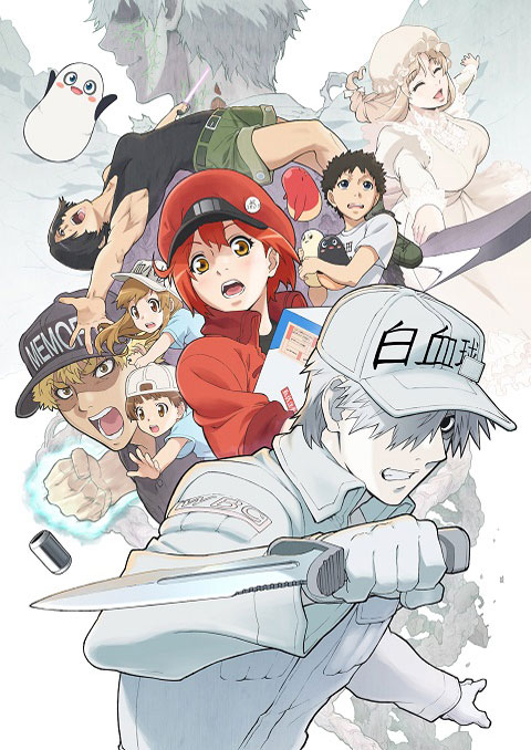 hataraku saibou 2 เซลล์ขยัน พันธุ์เดือด (ภาค2)