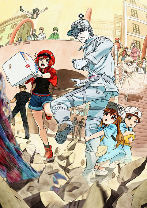 Hataraku Saibou เซลล์ขยัน พันธุ์เดือด (ภาค1) ซับไทย [จบแล้ว]